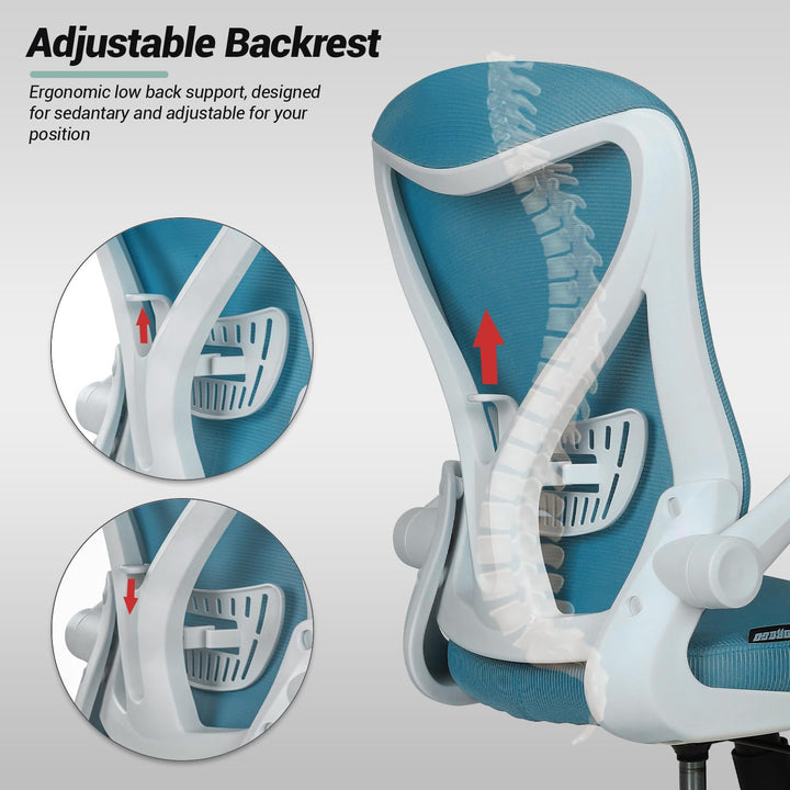 Avenir Ergonomic Office Chair