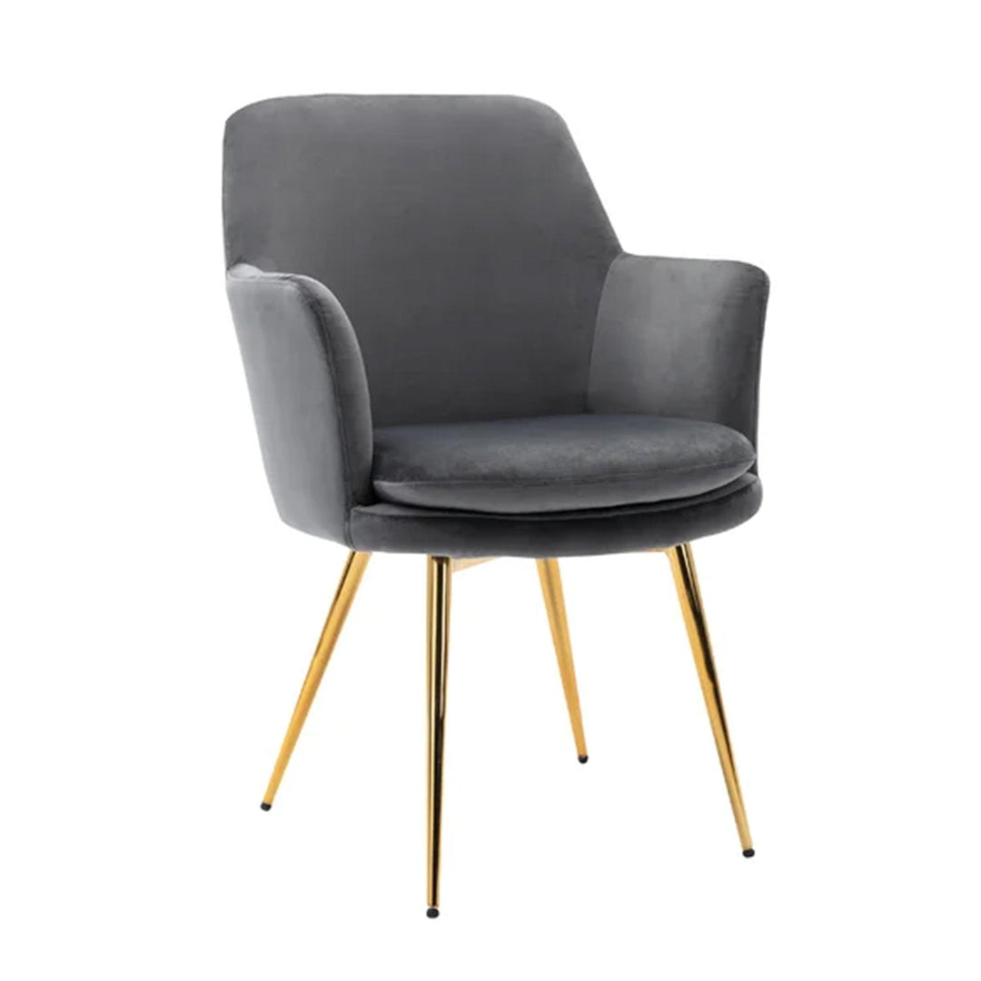 Luxurious Velvet Accent Dining Chair Blgreyue