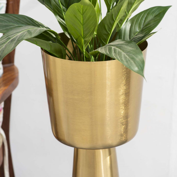 Sunrise Gold Single Planter