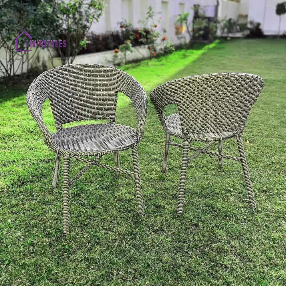 Adrista Wicker & Iron Outdoor Chair Set Of 2