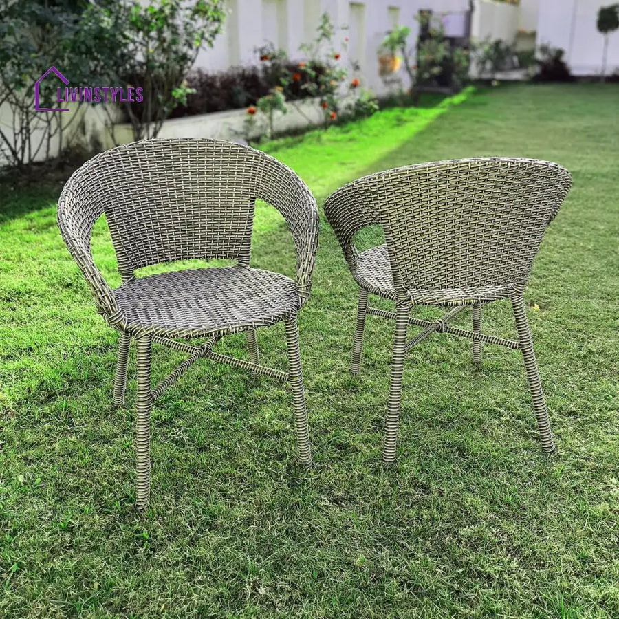 Adrista Wicker & Iron Outdoor Chair Set Of 2