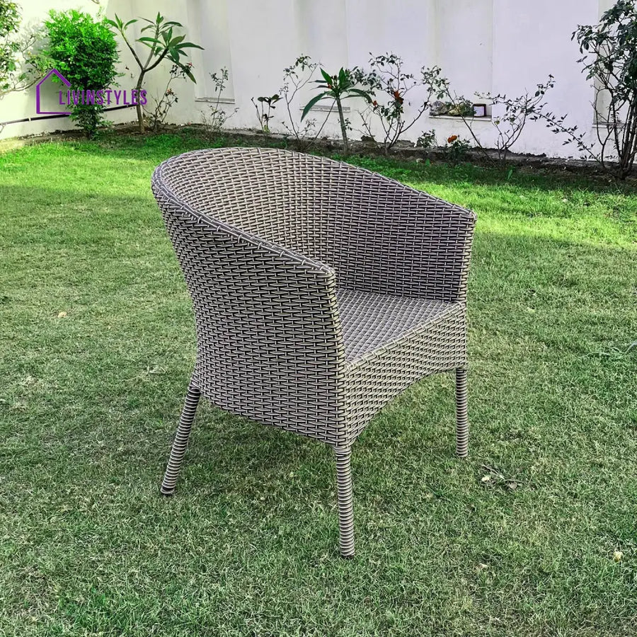 Allenna Wicker & Iron Outdoor Chair