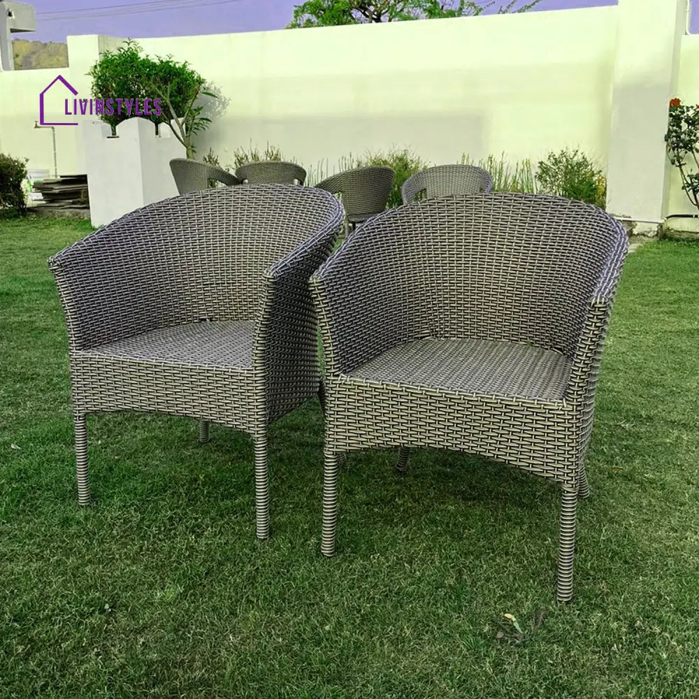 Allenna Wicker & Iron Outdoor Chair Set Of 2