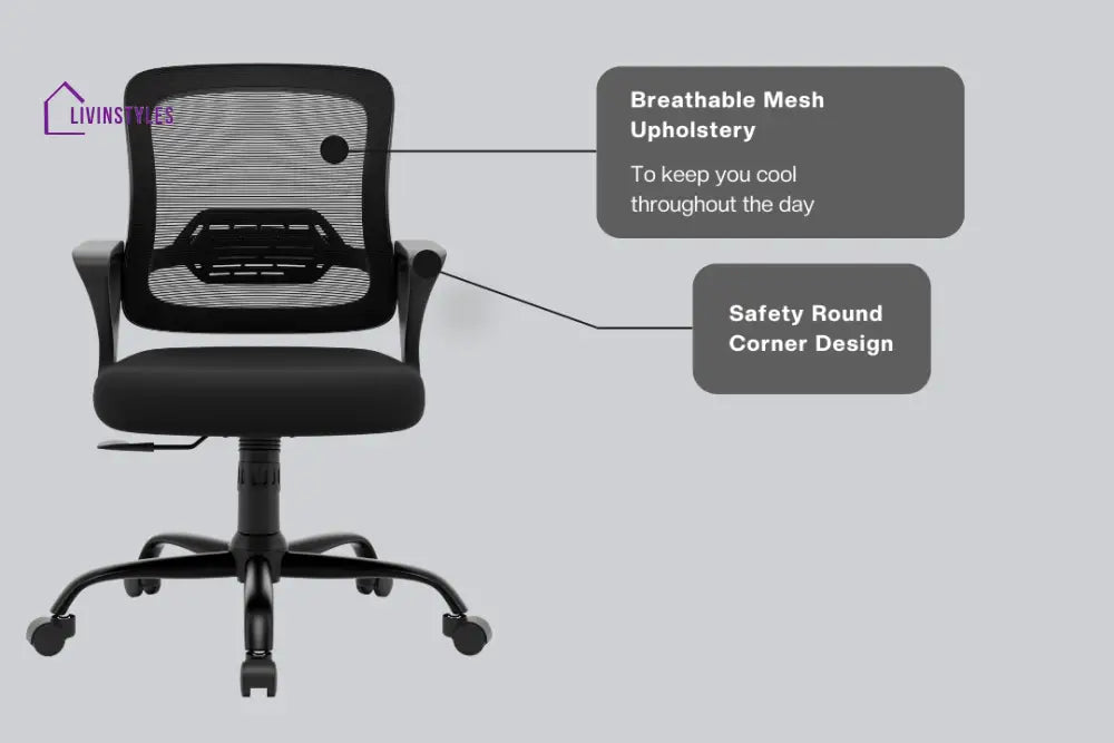 Amaya Pebble Basic Chair Basics