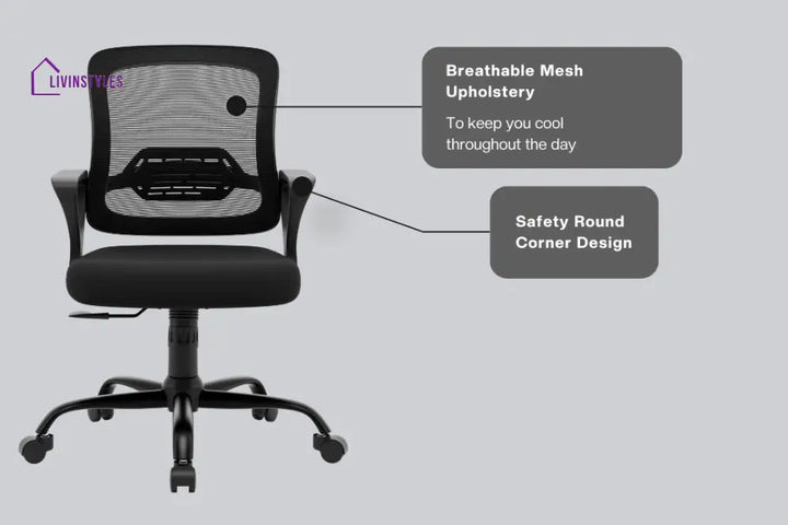 Amaya Pebble Basic Chair Basics