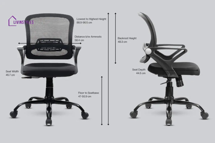 Amaya Pebble Basic Chair Basics