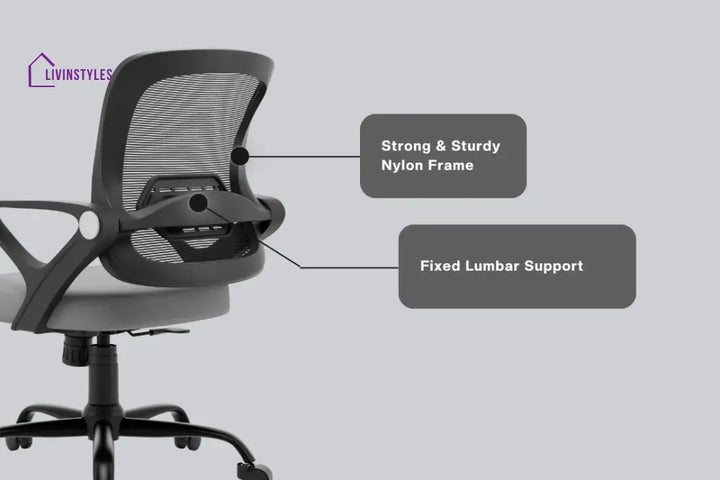 Amaya Pebble Basic Chair Basics