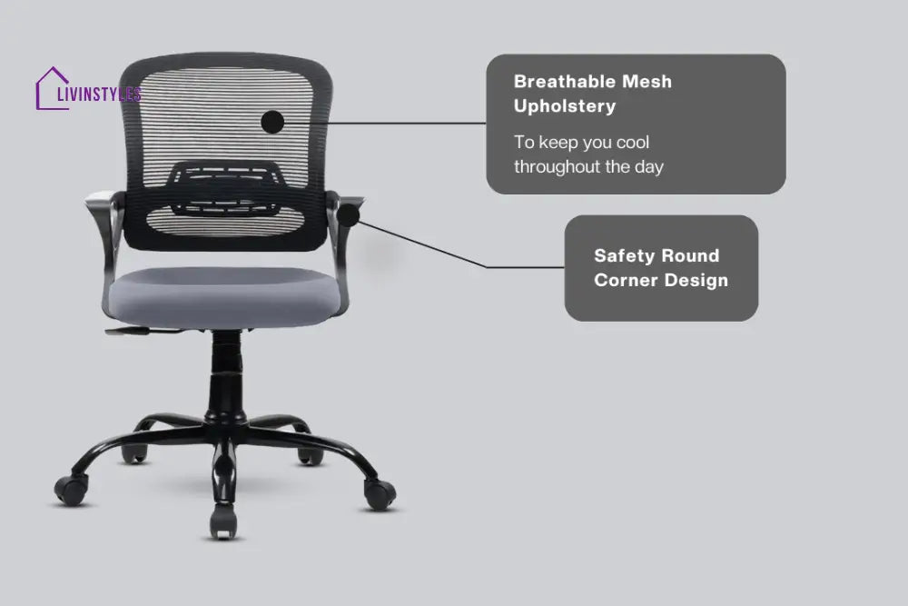 Amaya Pebble Basic Chair Basics