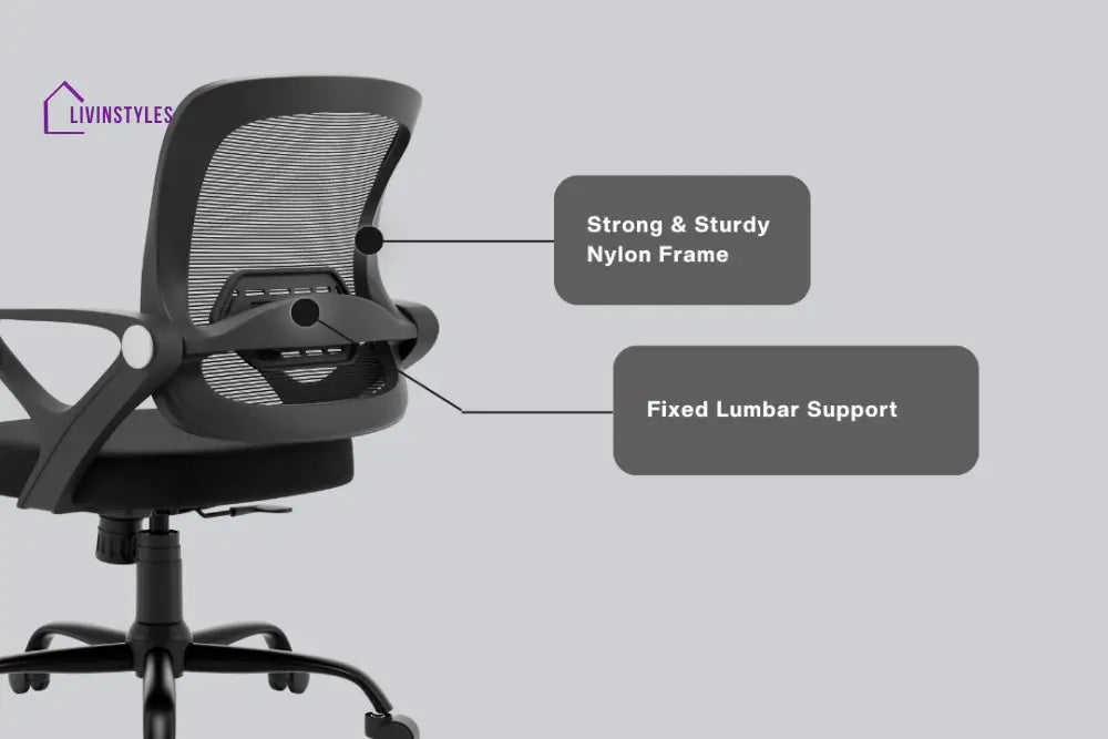 Amaya Pebble Basic Chair Basics