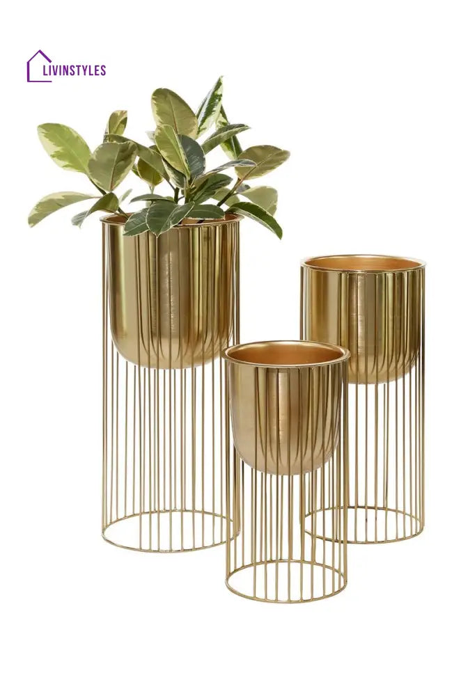 Anita Goldtone Metal Contemporary Planter With Elevated Caged Stand - Set Of 3