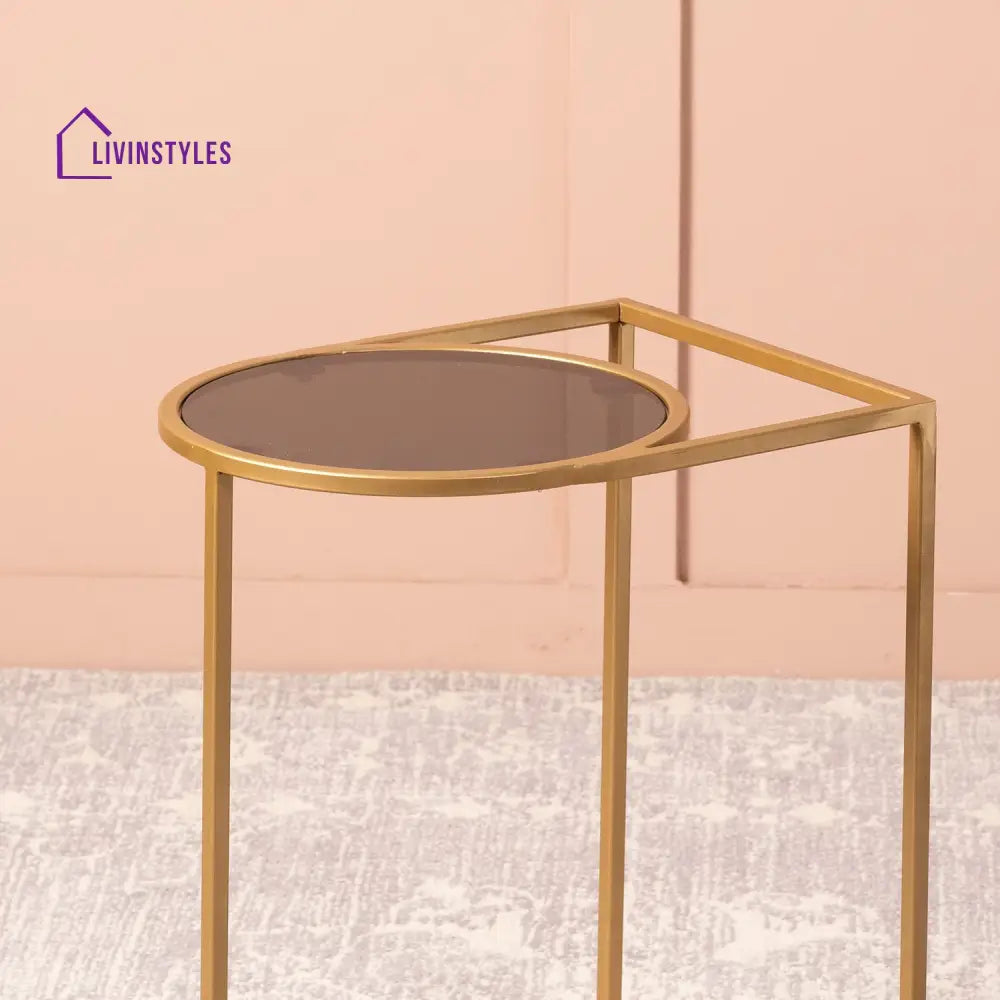 Bhavana Contemporary Metallic Magazine End Table In Gold Color Furniture