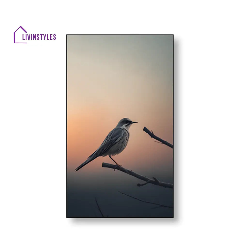 Bird Photography Wall Art Collection Set Of 4 Canvas Painting