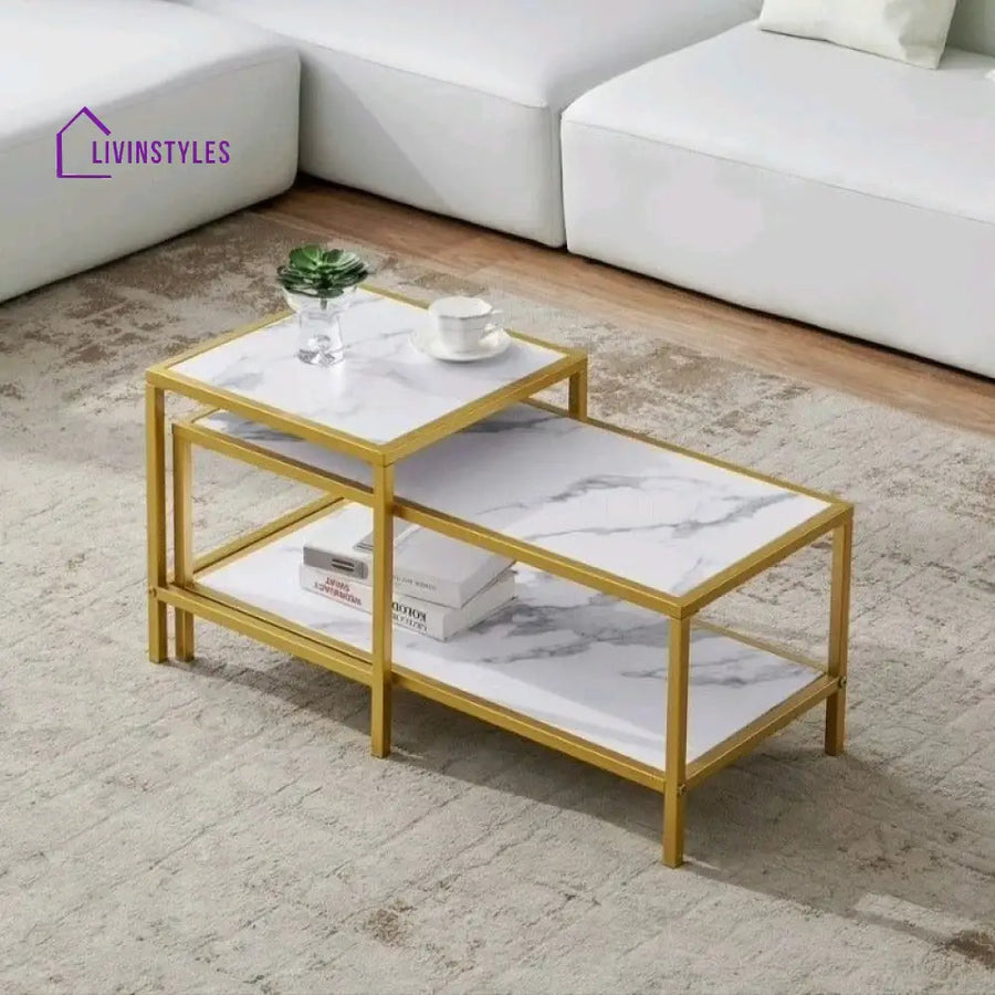 Ekansh Rectangular Marble Coffee Table With Metal Legs