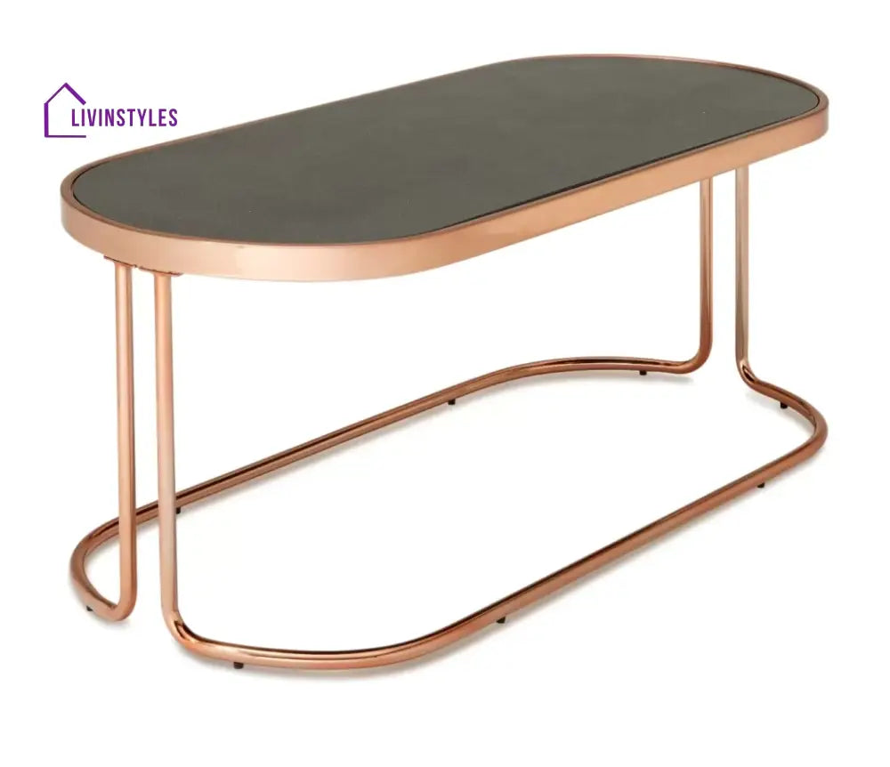 Ekaterina Minimalist Decorative Center Table