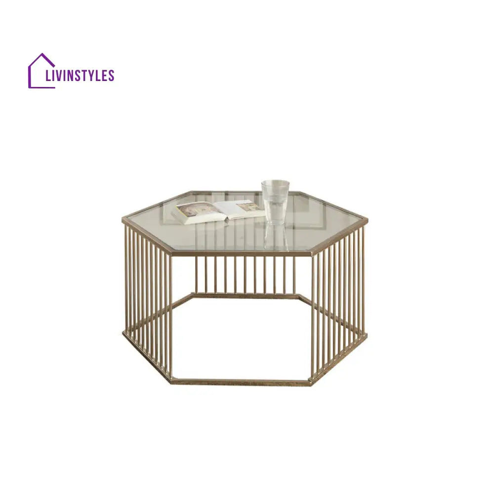 Gayatri Metal Coffee Table For Living Room