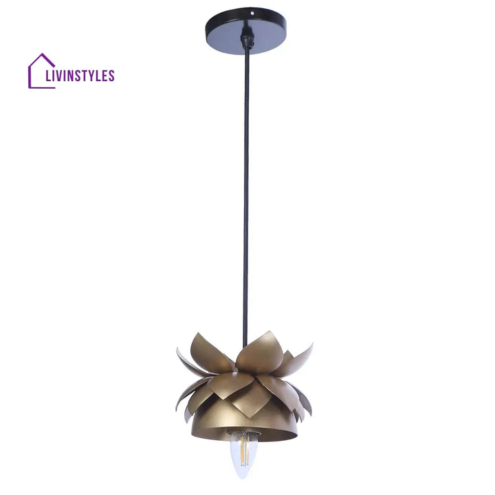 Hang Gold Metal Hanging Light By Ss Lightings Lamp