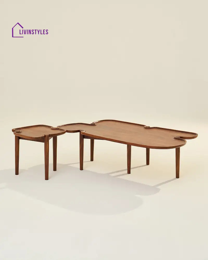 Hina Puzzle Table - Set Of 2 Coffee