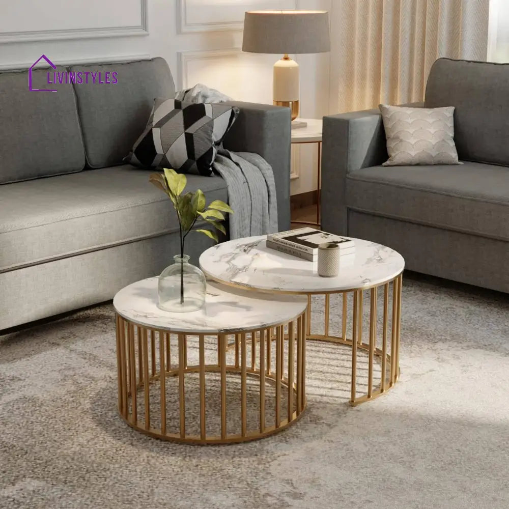 Sejal Metal Coffee Table