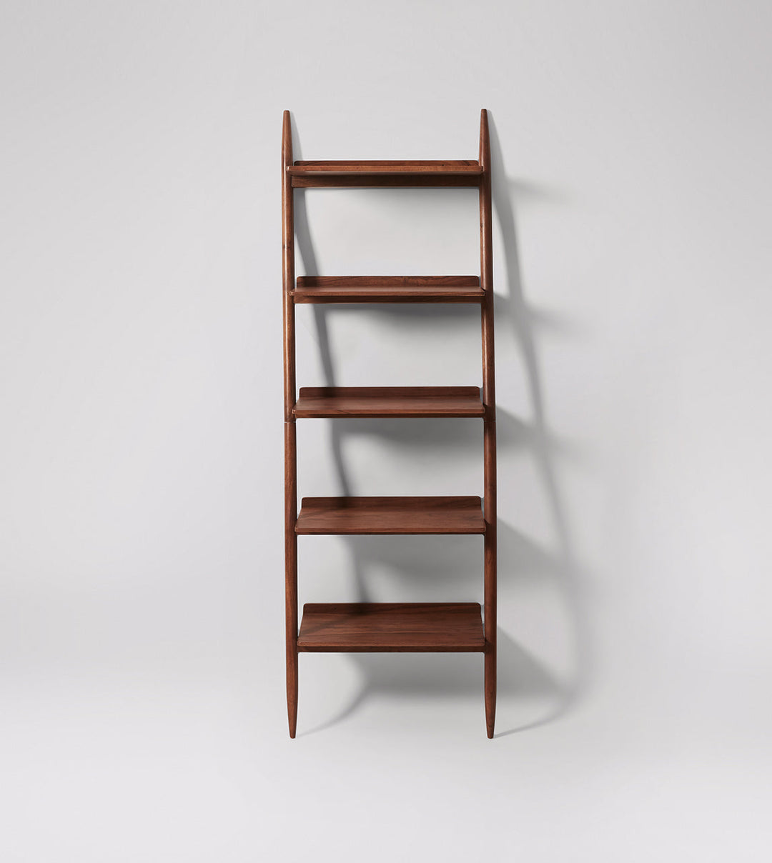 Evelina Ladder bookshelf