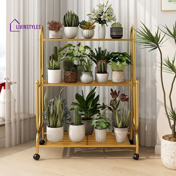 Kaashvi Plant Stand for Balcony