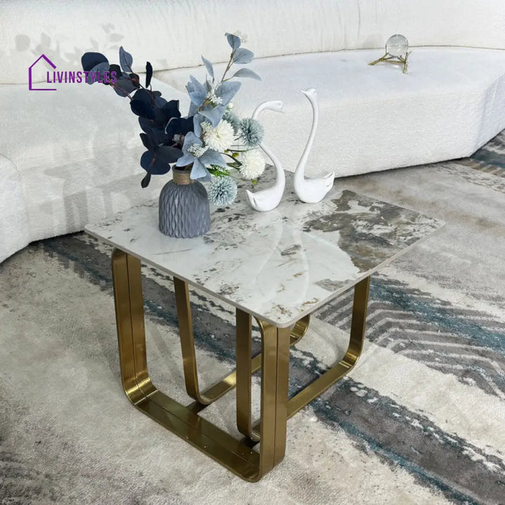 Kalyani Marble Top Metal Coffee Table