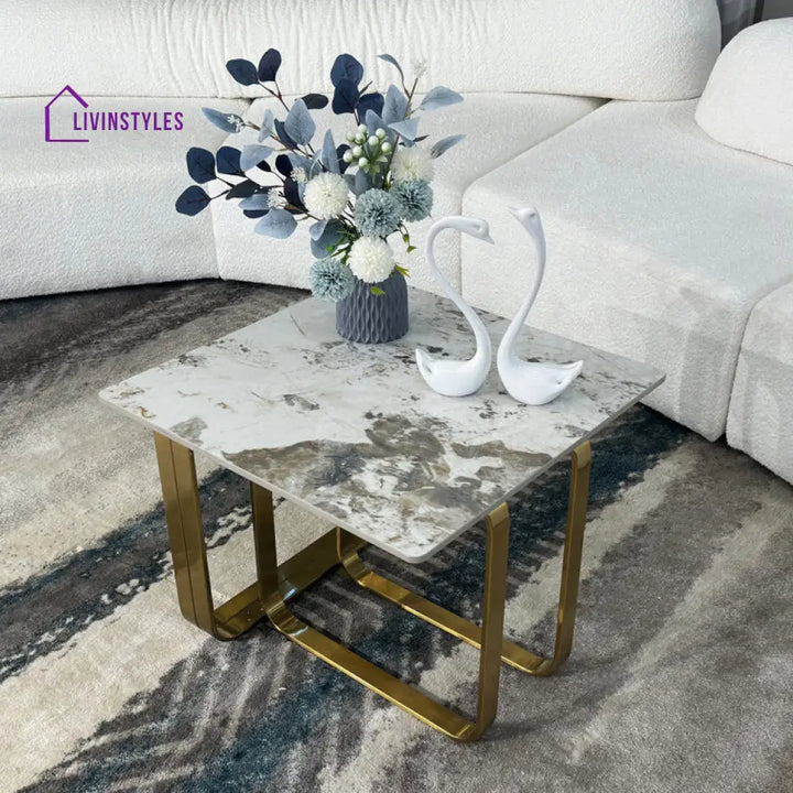 Kalyani Marble Top Metal Coffee Table