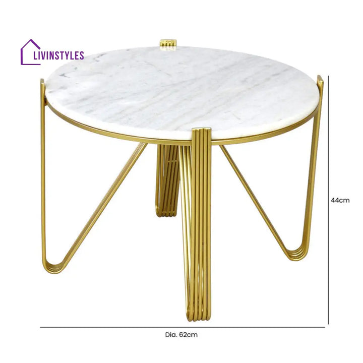 Karishma Stainless Steel Coffee Table For Living Room