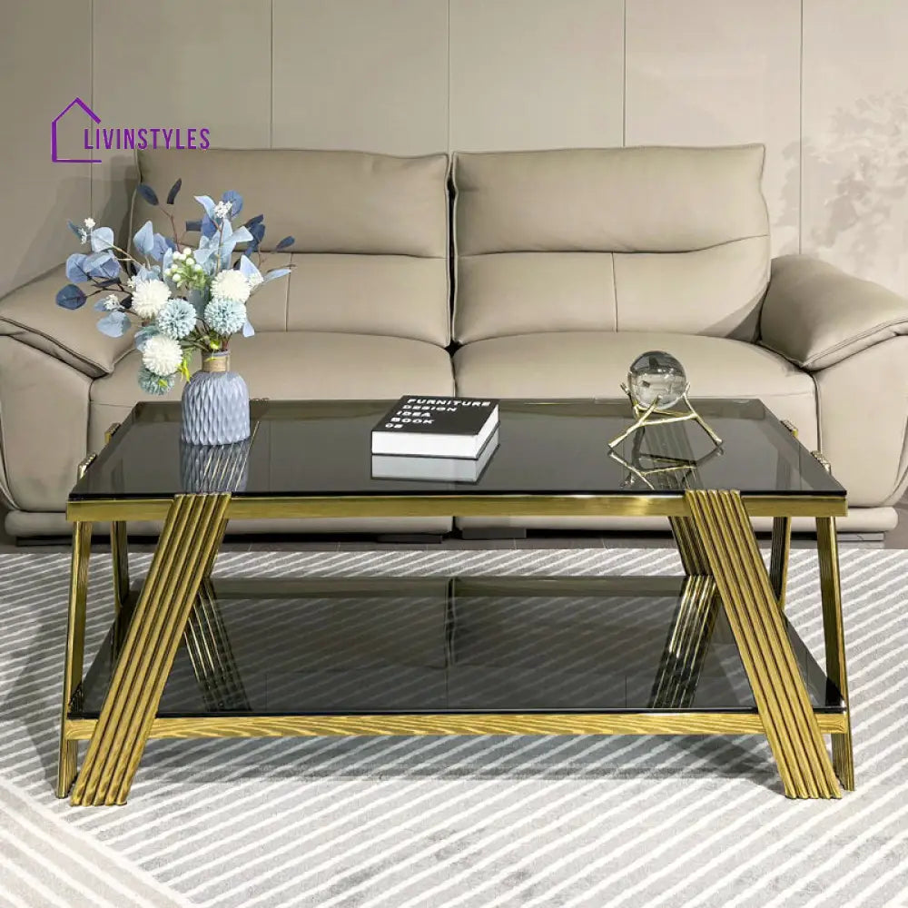 Kusum Stainless Steel Coffee Table For Living Room