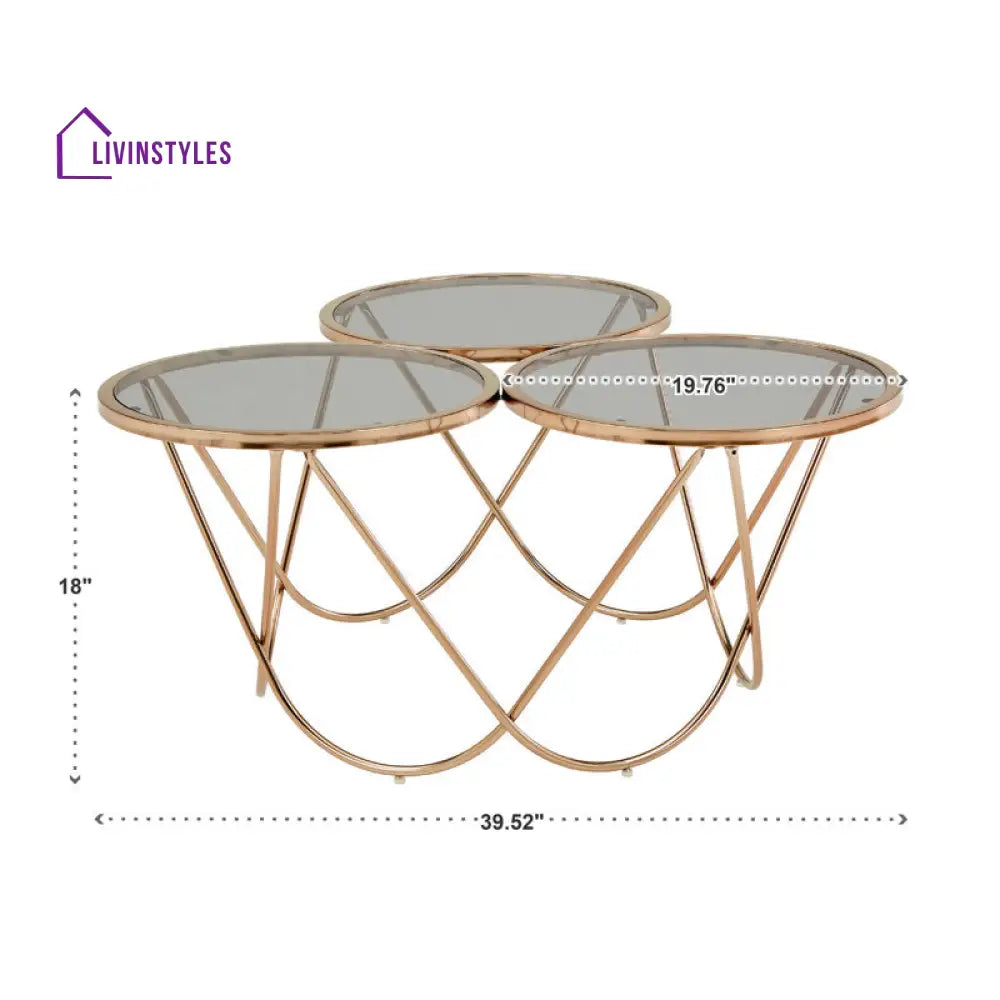 Lark Stainless Steel Coffee Table For Living Room