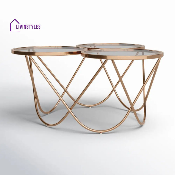 Lark Stainless Steel Coffee Table For Living Room