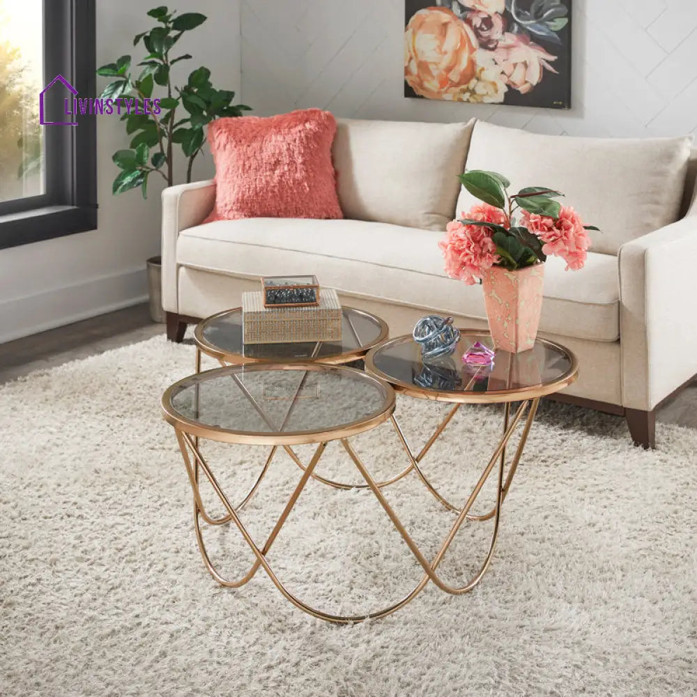 Lark Stainless Steel Coffee Table For Living Room