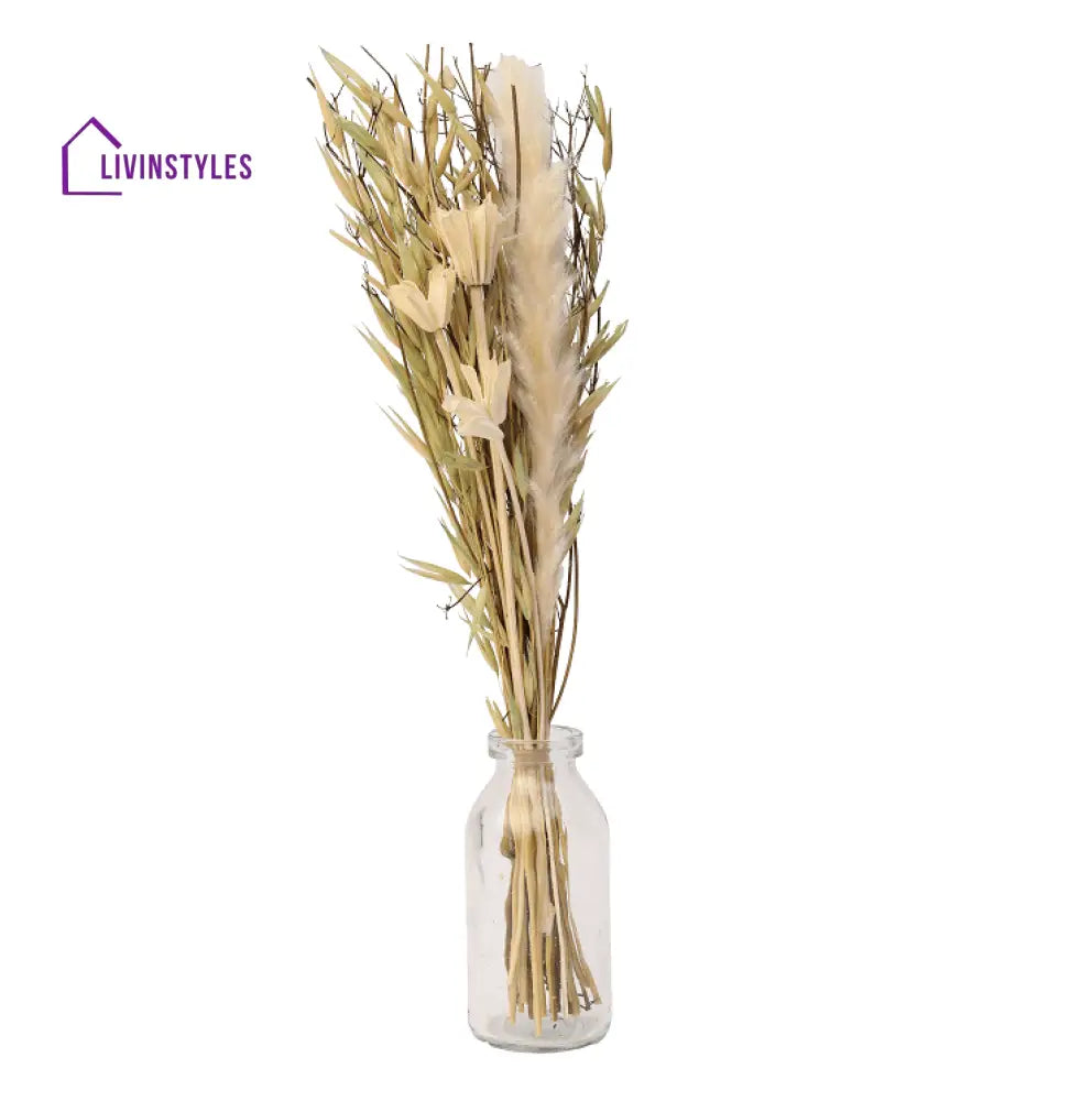 Liliana Dried Floral Bunny Tail (Small)