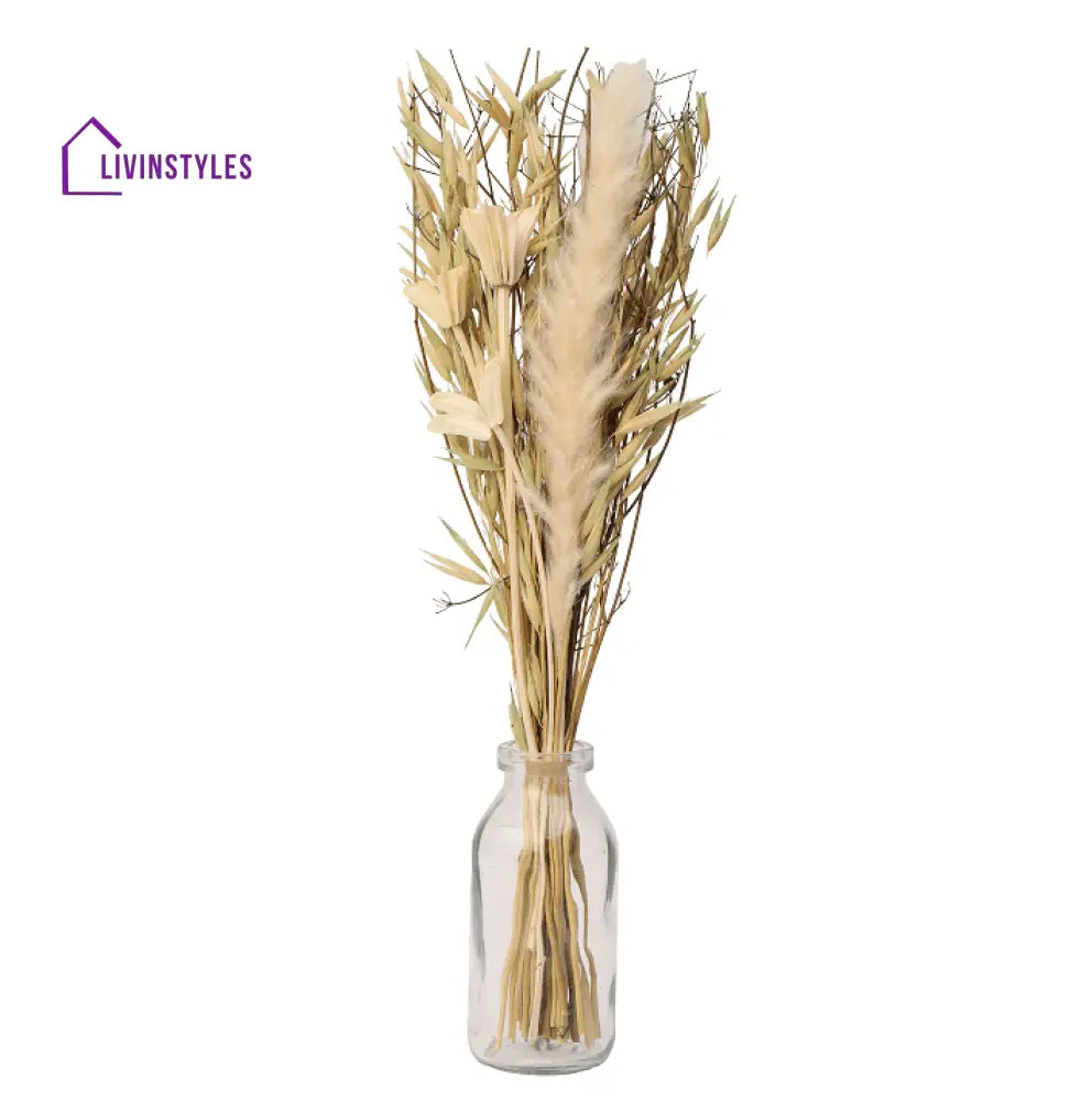 Liliana Dried Floral Bunny Tail (Small)