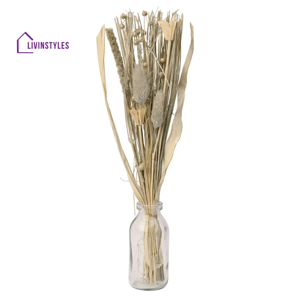 Liliana Dried Floral Silver Haze (Small)