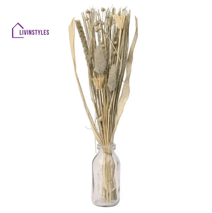 Liliana Dried Floral Silver Haze (Small)