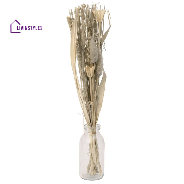 Liliana Dried Floral Silver Haze (Small)