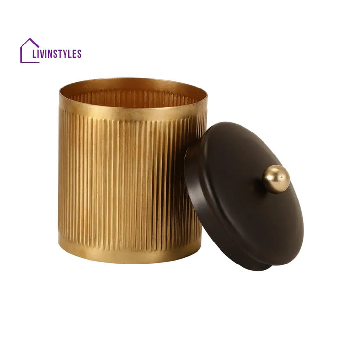 Luxora Cylindrical Box In Gold Storage