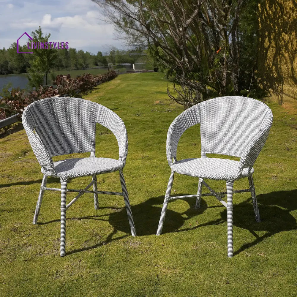 Martz Outdoor Chair - Set Of 2