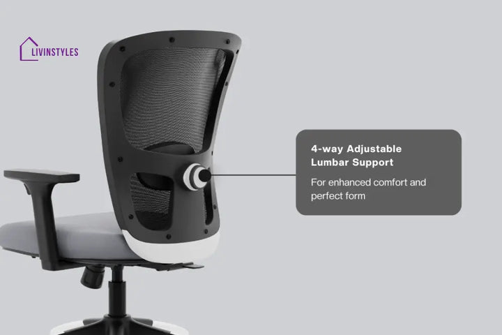 Parikshit Jupiter Superb Mid Back Mesh Office Chair Efficient Chairs