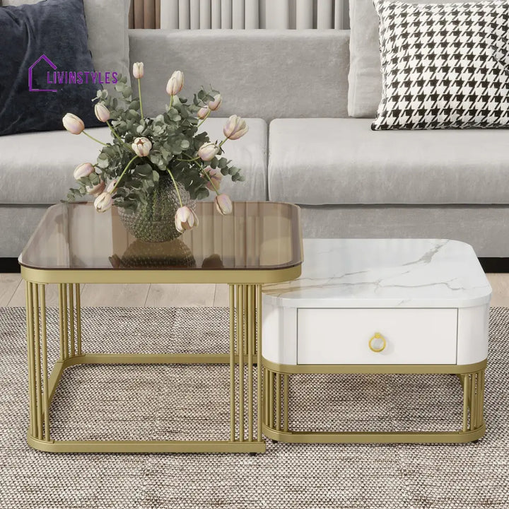 Riddhi Metal Coffee Table For Living Room