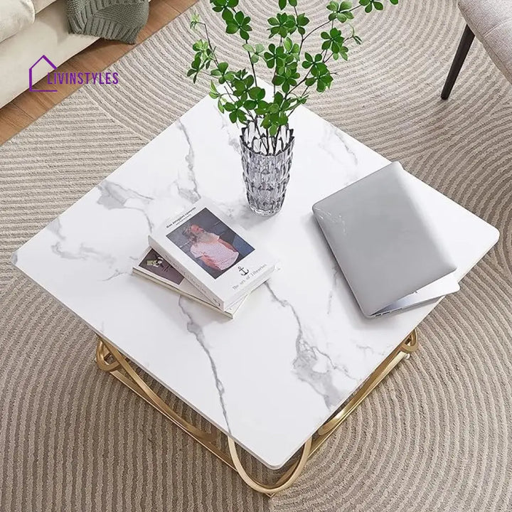 Ritesh Square Marble Coffee Table For Living Room