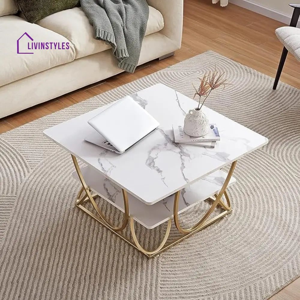 Ritesh Square Marble Coffee Table For Living Room