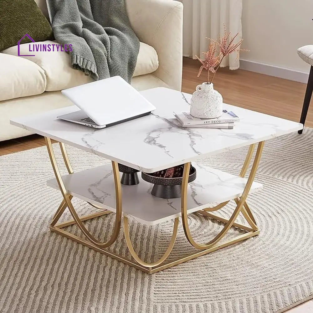 Ritesh Square Marble Coffee Table For Living Room