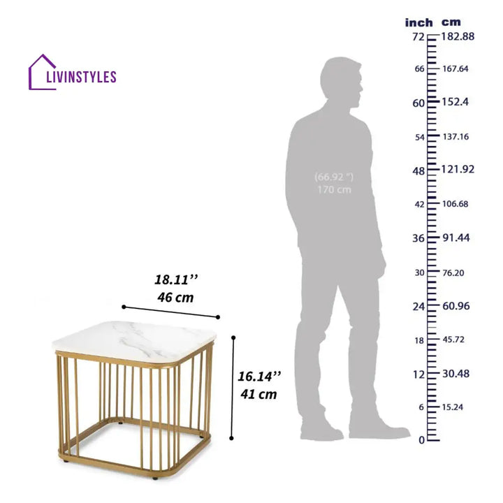 Shiwani Metal Coffee Table