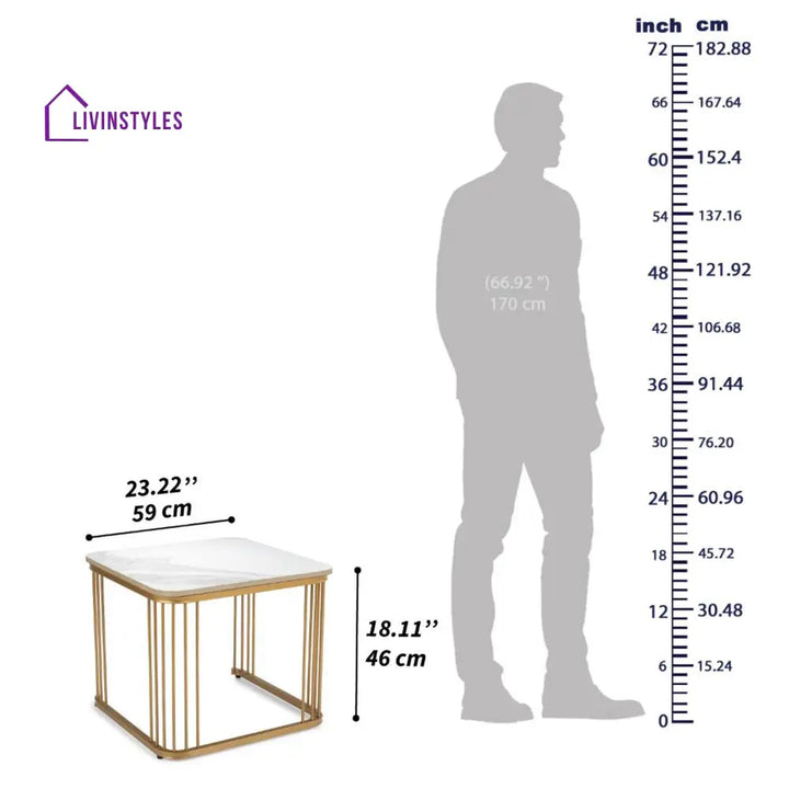 Shiwani Metal Coffee Table