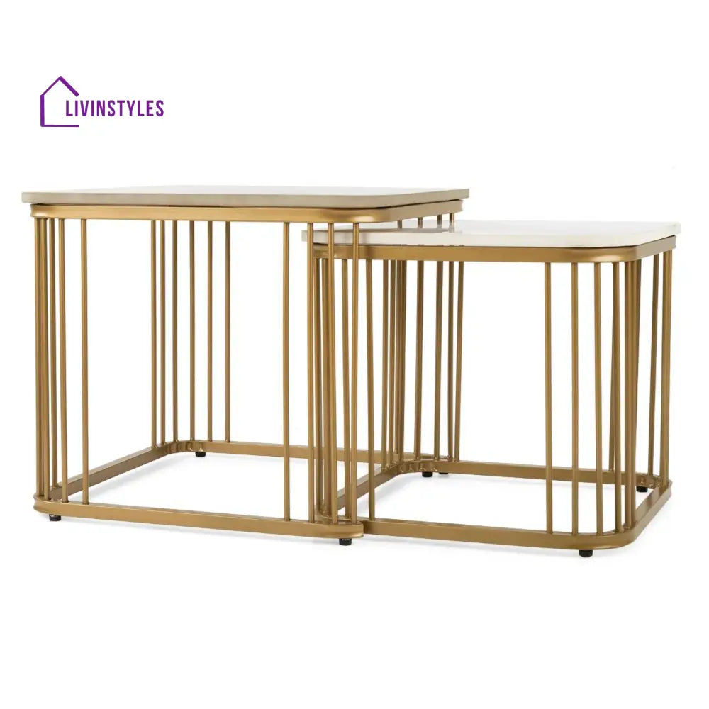 Shiwani Metal Coffee Table