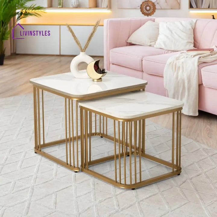 Shiwani Metal Coffee Table