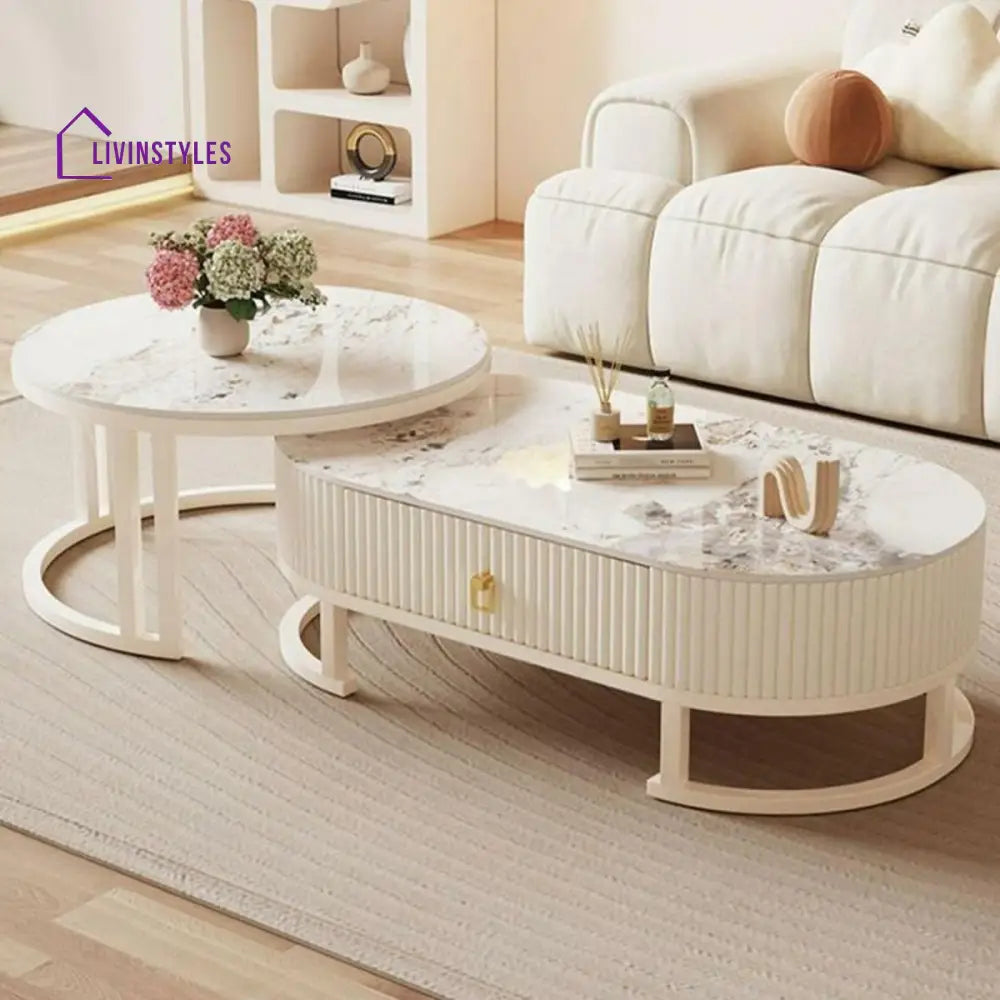 Tanishka White Stainless Steel Frame and Marble Top Coffee Table for Living Room