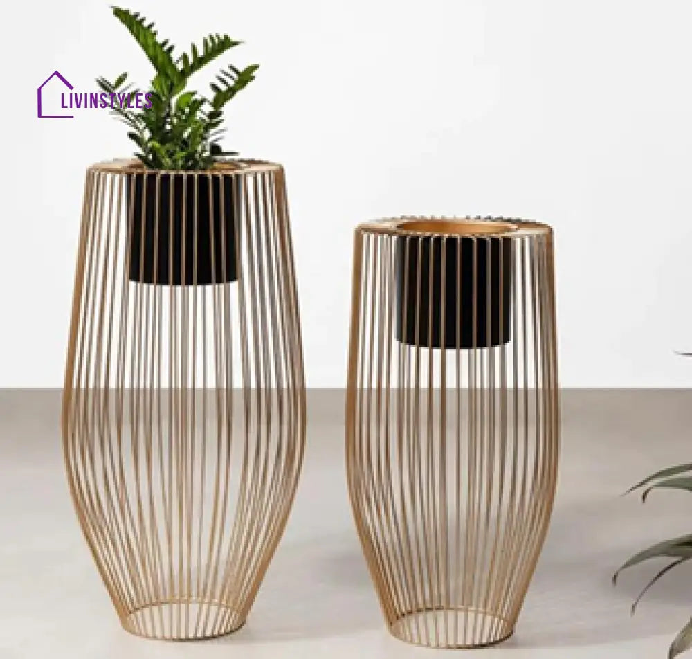 Tatyana Golden Cage Base Decorative Planter