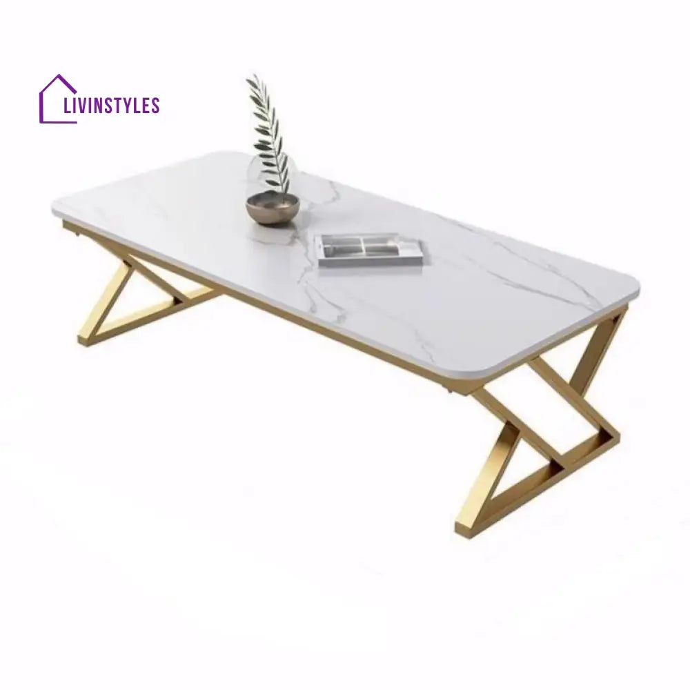 Urvashi Metal Coffee Table for Living Room